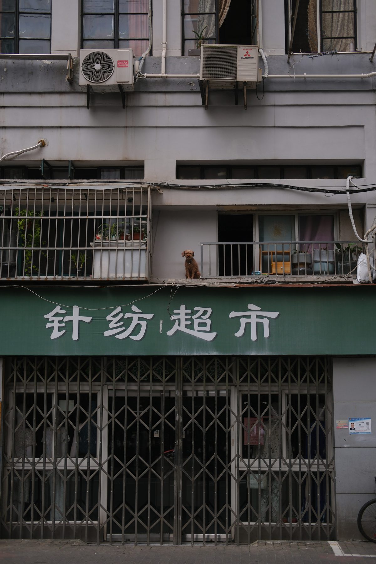 Tatjana Todorovic, Shanghai · Taiwan, 2025 — 29